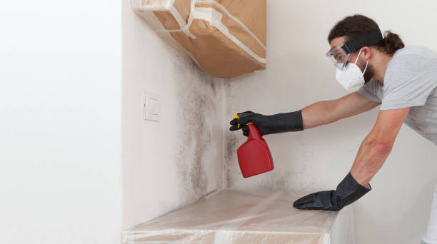 Professional Black Mold Remediation technician working in Seaford, NY